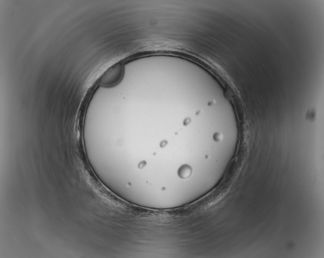 X0000115550885200911271431