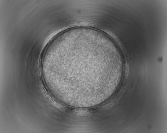 X0000115550886200911271431