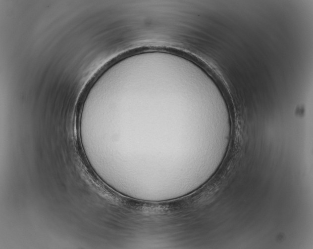 X0000115550887200911271431