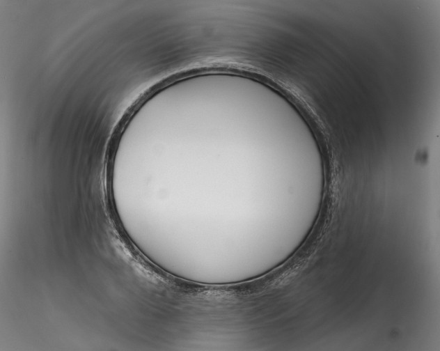 X0000115550888200911271431