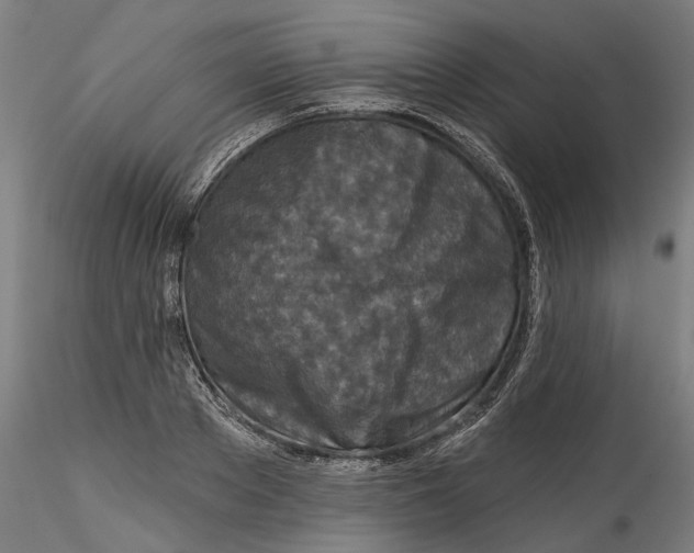 X0000115550889200911271431