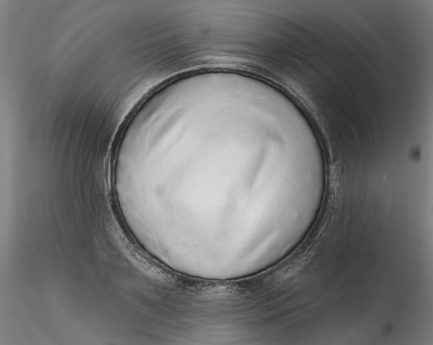 X0000115550891200911271431