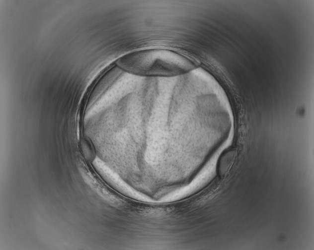 X0000115550892200911271431