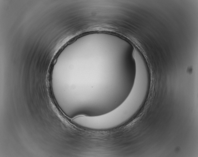 X0000115550893200911271431