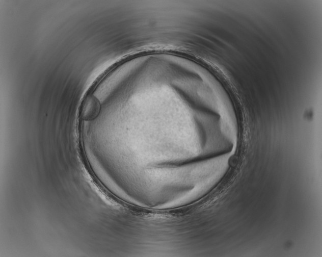 X0000115550894200911271431