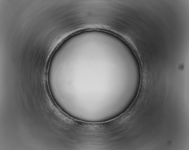 X0000115550895200911271431