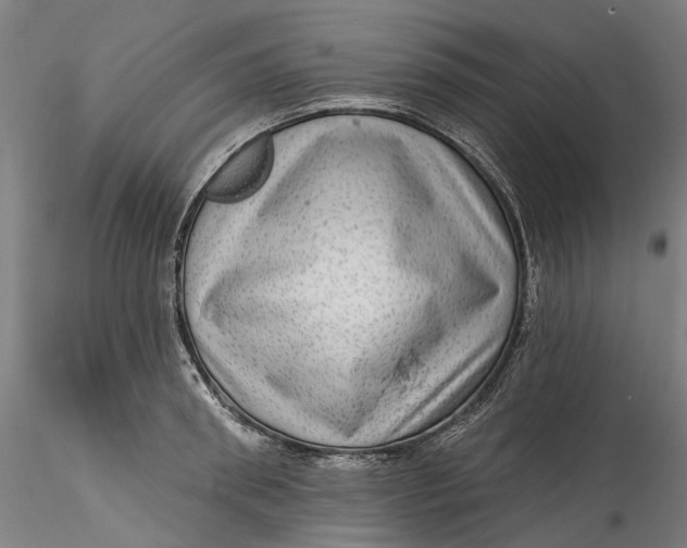 X0000115550898200911271431