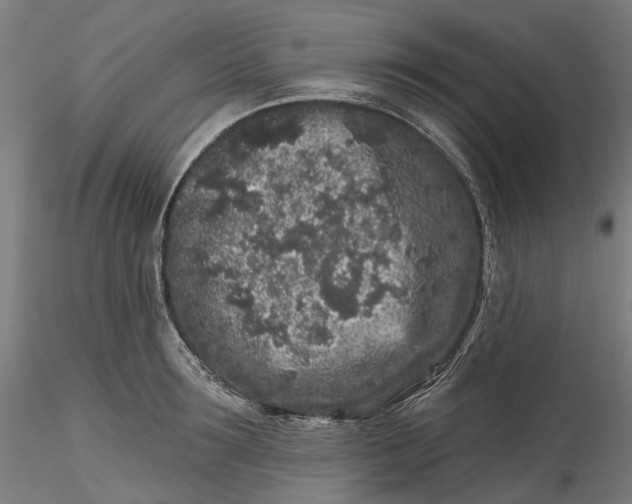 X0000115550899200911271431