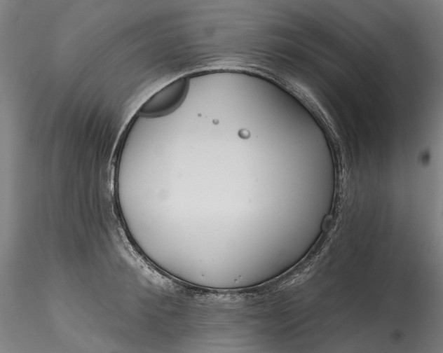 X0000115550900200911271431