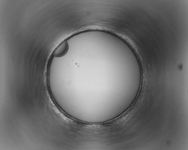 X0000115550902200911271431