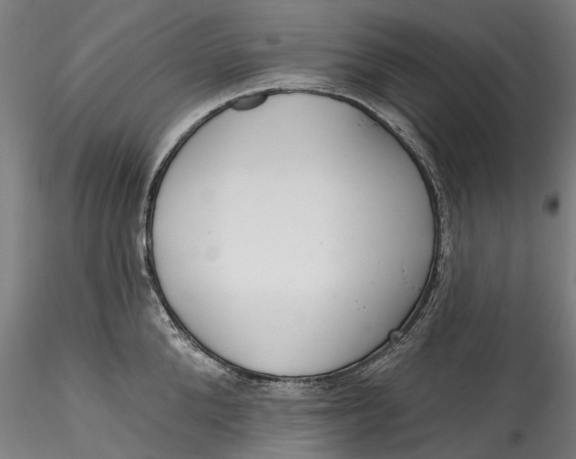 X0000115550904200911271431