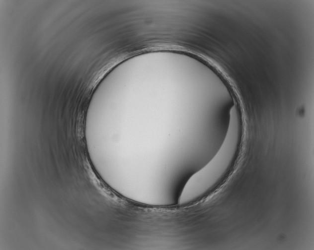 X0000115550905200911271431