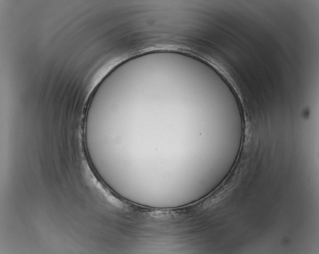 X0000115550906200911271431