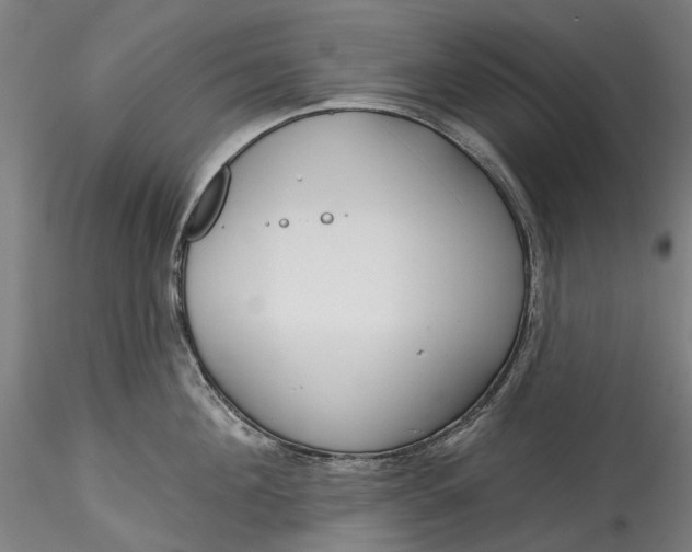 X0000115550908200911271431