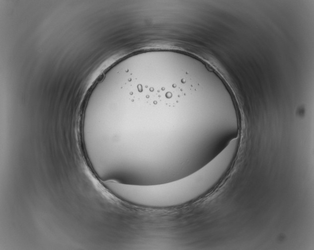 X0000115550909200911271431