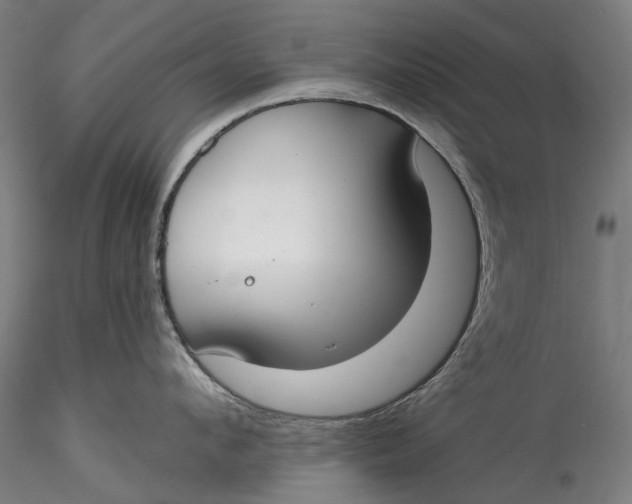 X0000115550912200911271431