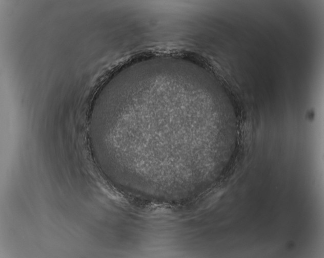 X0000115550913200911271430