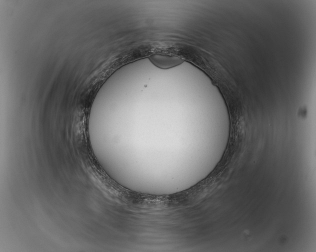 X0000115550914200911271430