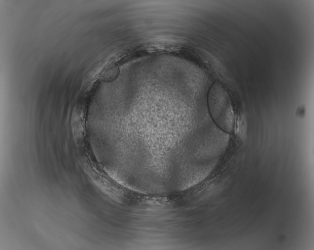 X0000115550915200911271430