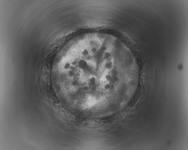 X0000115550917200911271430