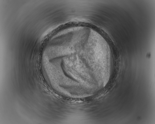 X0000115550919200911271430