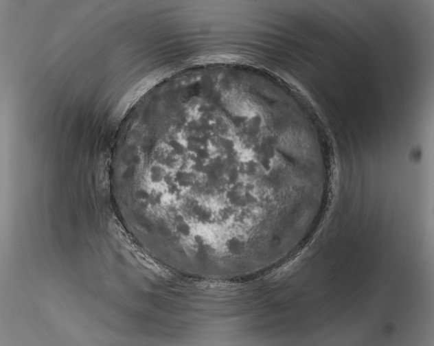 X0000115550921200911271430