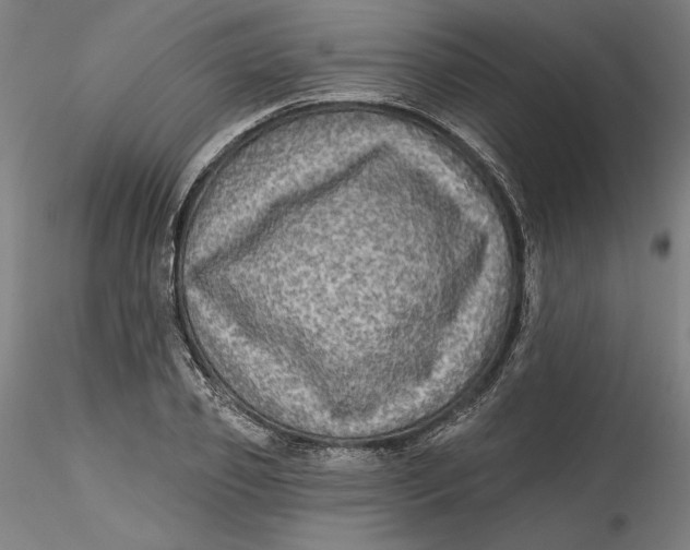 X0000115550933200911271430