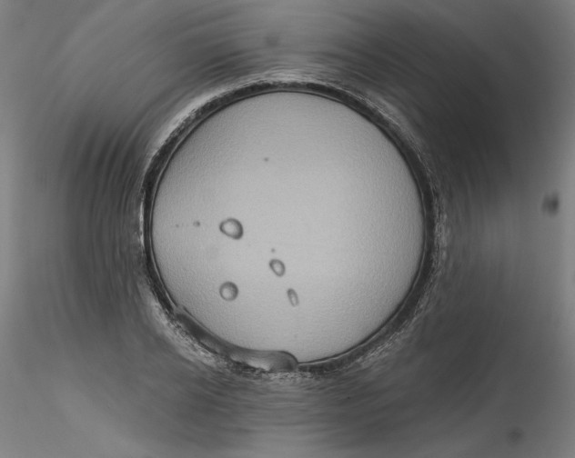 X0000115550934200911271430