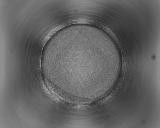 X0000115550938200911271430