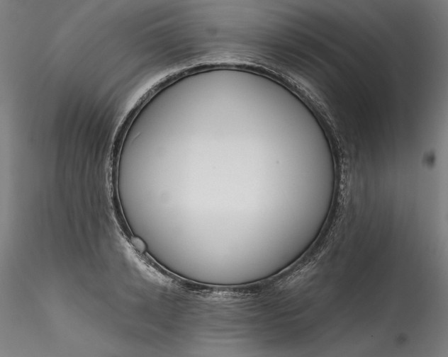 X0000115550942200911271430