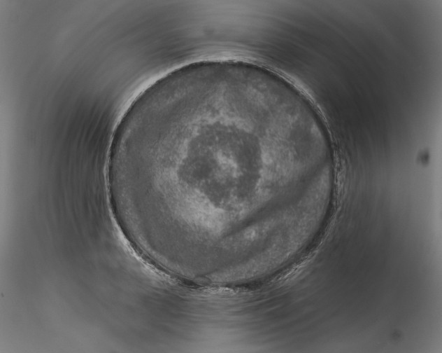 X0000115550943200911271430