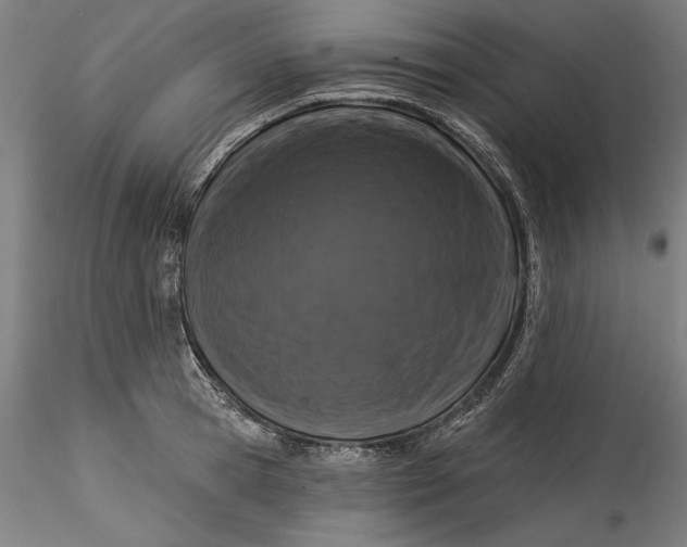 X0000115550945200911271430