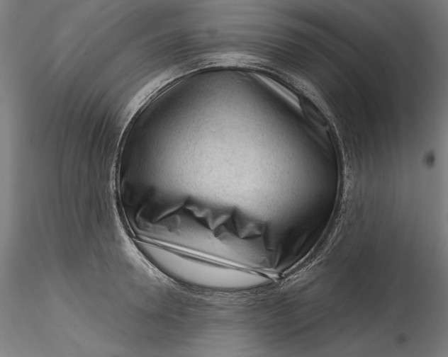 X0000115550946200911271430