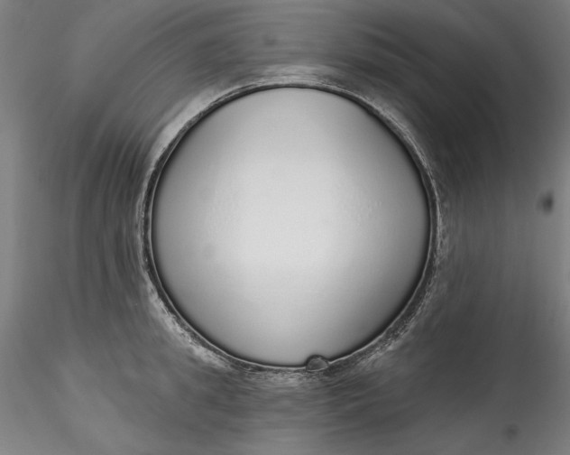 X0000115550949200911271430