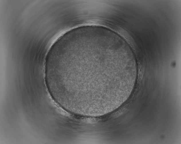 X0000115550950200911271430