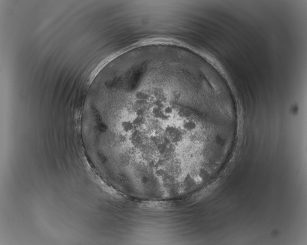 X0000115550953200911271430