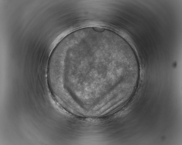 X0000115550954200911271431