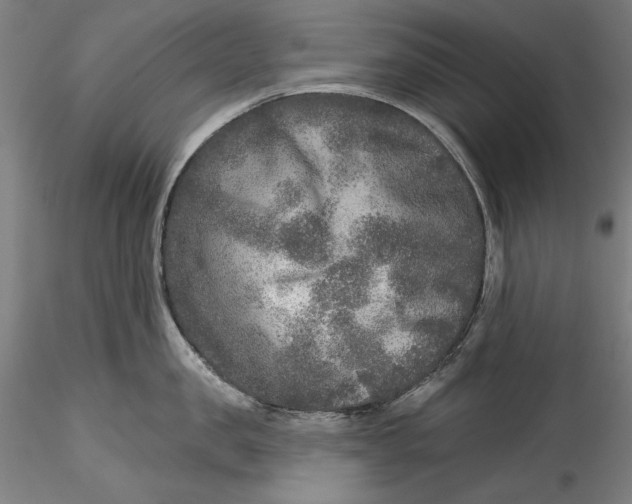 X0000115550957200911271431