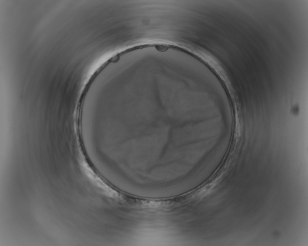 X0000115550958200911271431