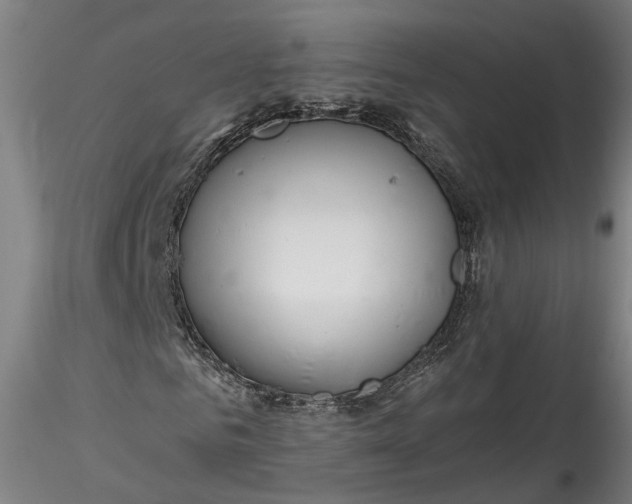 X0000115550961200911271430