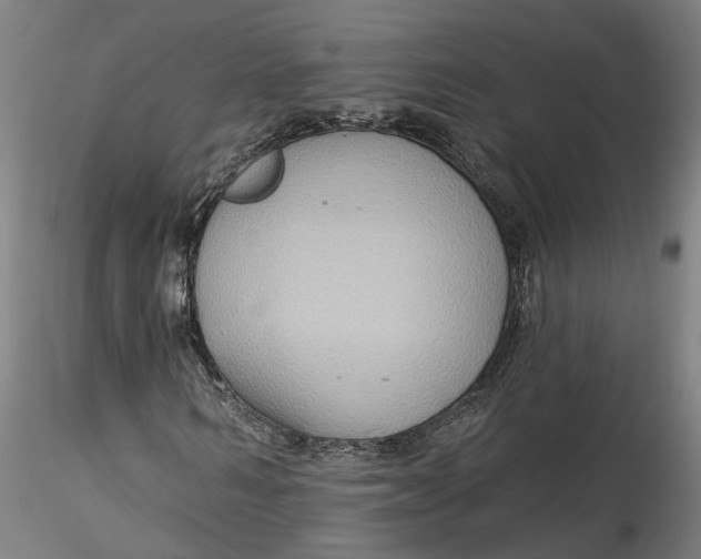 X0000115550962200911271430