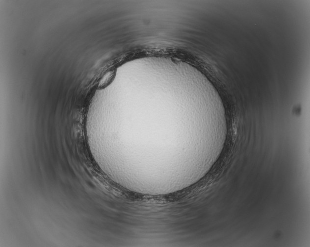 X0000115550964200911271430