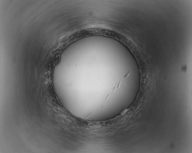 X0000115550965200911271430