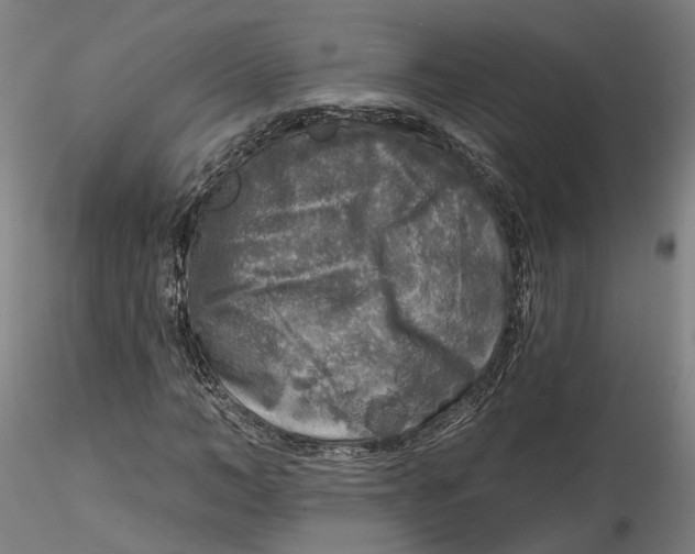 X0000115550966200911271430