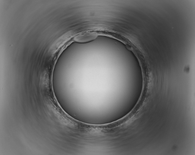 X0000115550969200911271430