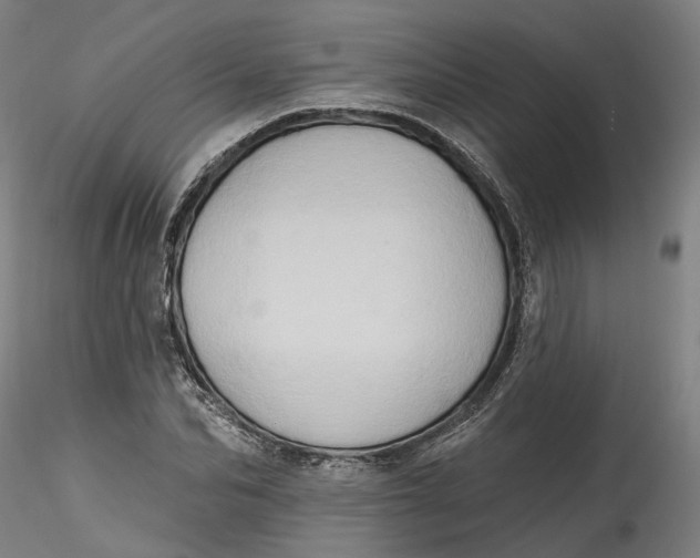 X0000115550974200911271430