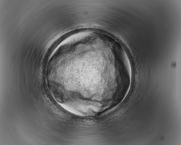 X0000115550975200911271430