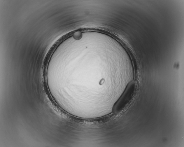 X0000115550976200911271430