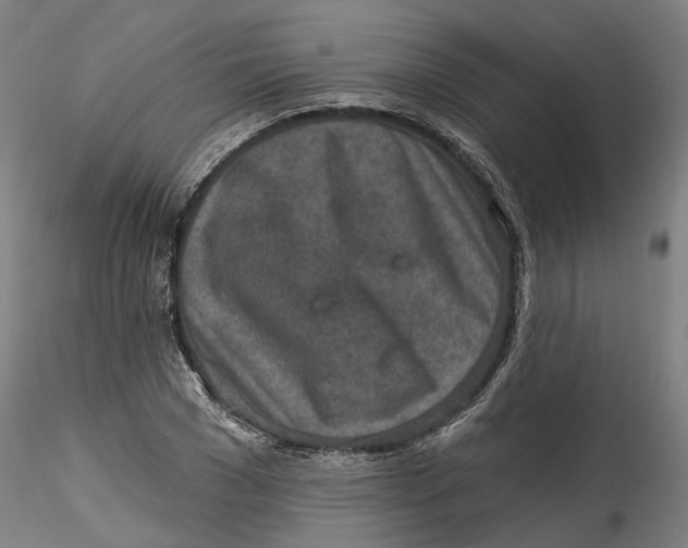 X0000115550977200911271429