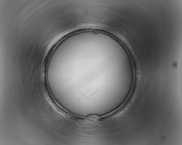 X0000115550981200911271429